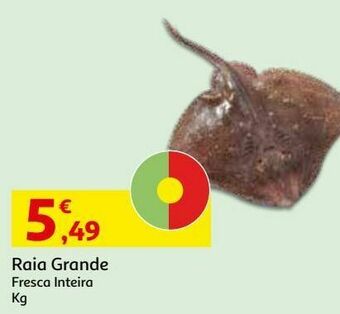 Auchan Raia grande:fresca inteira kg promoção