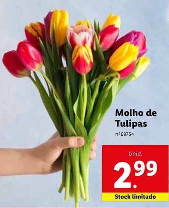 Molho de Tulipas
