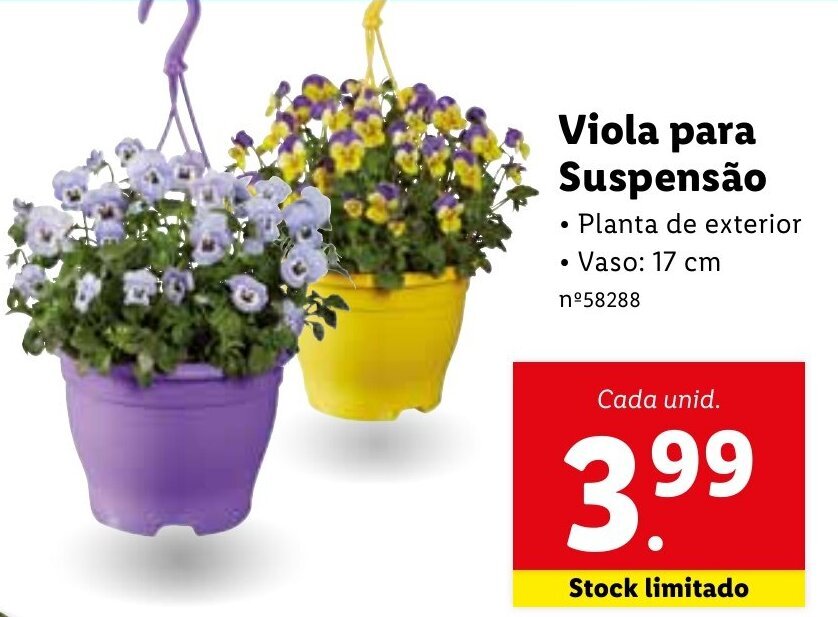 Promoção Viola para Suspensão em Lidl