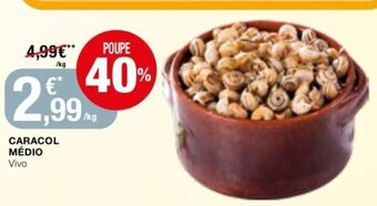 Intermarché Caracol Médio promoção