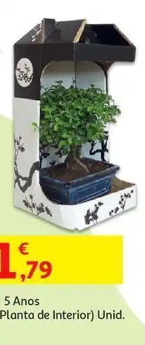 Auchan Bonsai 5 anos+cx :(interior) ref.103 promoção