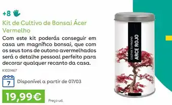 Bonsai