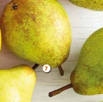 Lidl Pera Rocha do Oeste DOP promoção