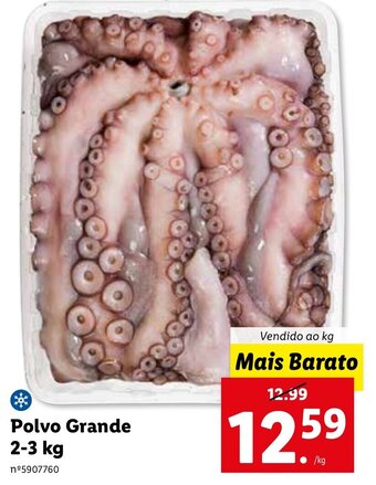 Lidl Polvo Grande 2-3kg promoção