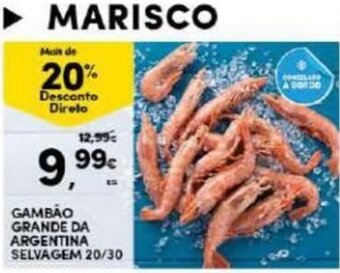Continente Gambão Grande da Argentine Selvage 20/30 promoção