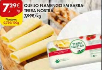 Pingo Doce Queijo Flamengo em Barra Terra Nostra promoção