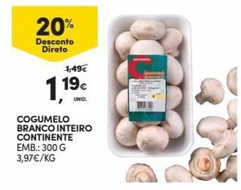 Cogumelos continente