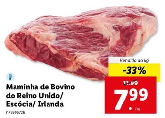 Maminha de Bovino do Reino Unido/Escócia/Irlandia