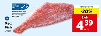 Lidl Red Fish promoção