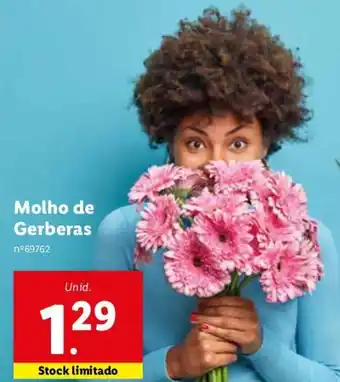 Lidl Molho de Gerberas promoção