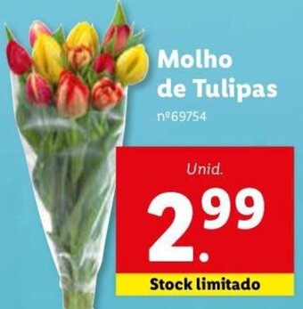 Lidl Molho de Tulipas promoção
