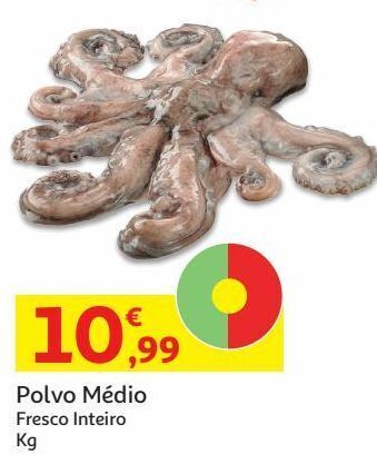 Auchan Polvo medio:fresco inteiro kg promoção