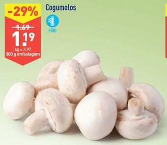 ALDI Cogumelos promoção