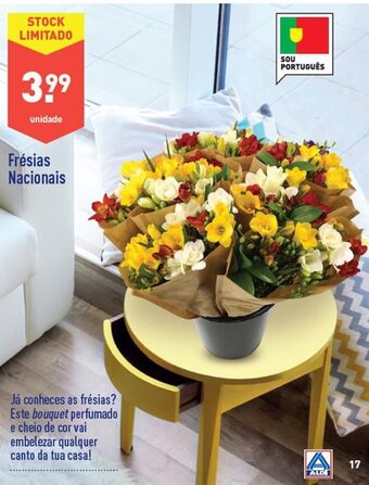 ALDI Flores promoção