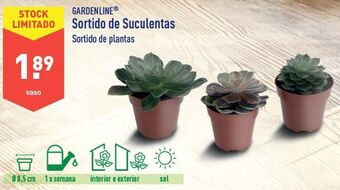 Plantas