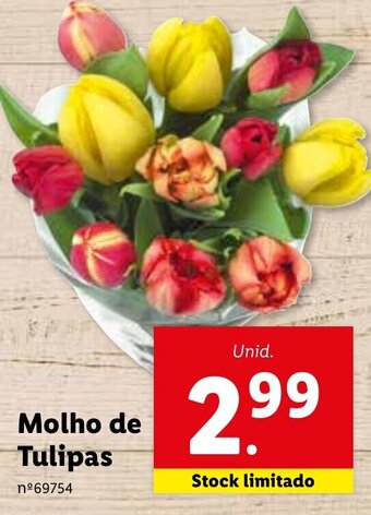Lidl Molho de Tulipas promoção