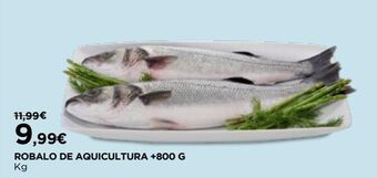 Robalo
