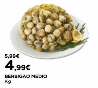 Frutos do mar