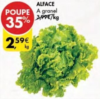 Pingo Doce Alface promoção