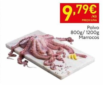 Recheio Polvo promoção