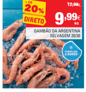 Continente Gambão da Argentina Selvagem 20/30 promoção