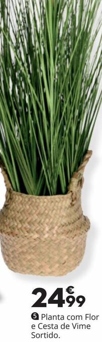 Plantas