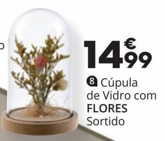 Decoração