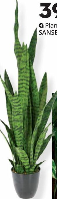 Conforama Plantas promoção