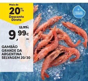 Continente Gambão Grande da Argentina Selvagem 20/30 promoção