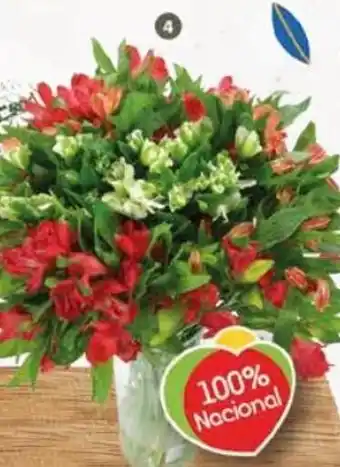Pingo Doce Molho de Alstroemeria promoção