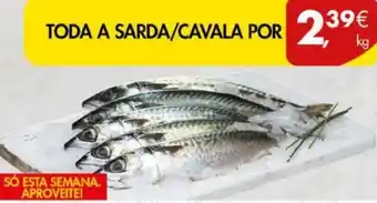 Pingo Doce Sarda / Cavala Por promoção