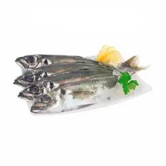 Pingo Doce Carapau médio - unidade 0.3 kg promoção
