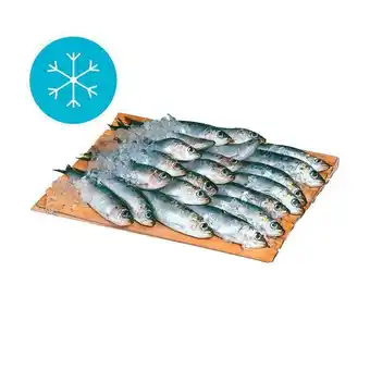 Pingo Doce Sardinha congelada - embalagem 1 kg promoção