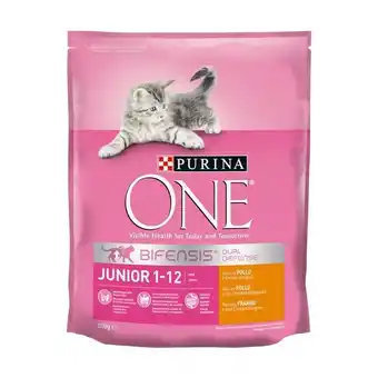 Pingo Doce Ração seca para gato júnior sabor frango bifensis purina one promoção