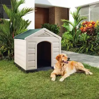Casota para cão