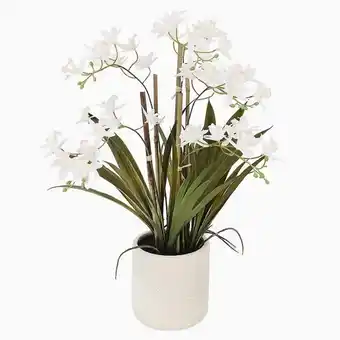 Orquídea com folhagem branco a.57cm