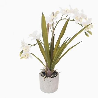 VIVA Orquídea com folhagem branco a.51cm promoção
