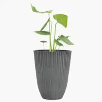 JYSK Vaso jardim mygga ø29xa36 cinzentopoupe 25% promoção