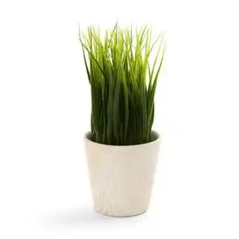 Primark Vaso planta artificial madeira branco promoção