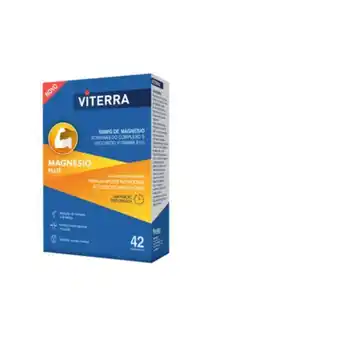 Well's Viterra magnésio plus promoção