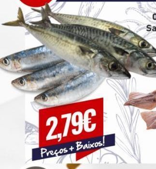 Belita Peixe promoção