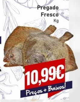 Belita Peixe promoção