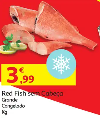 Auchan Red Fish sem Cabeça Grande promoção