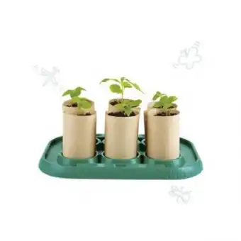 Estufa de cultivo