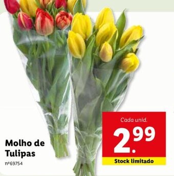 Lidl Molho de Tulipas promoção