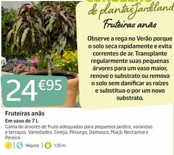 Jardiland Plantas promoção