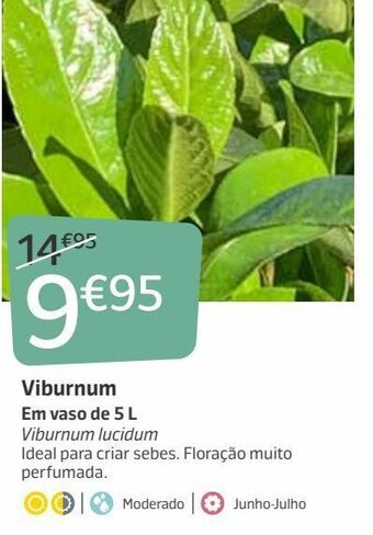 Jardiland Plantas promoção