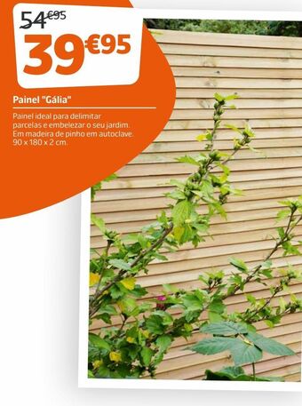 Jardiland Jardim e bricolage promoção