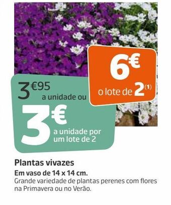Jardiland Plantas promoção