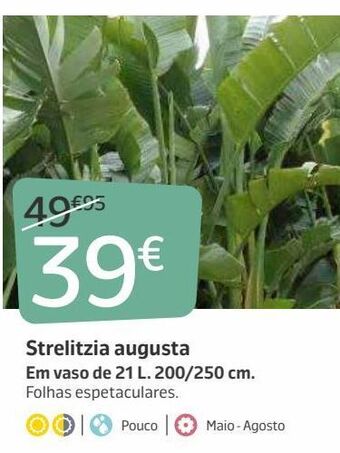 Jardiland Plantas promoção